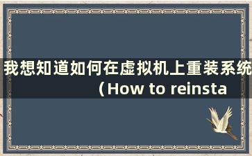 我想知道如何在虚拟机上重装系统（How to reinstall the system on a virtual machine-）